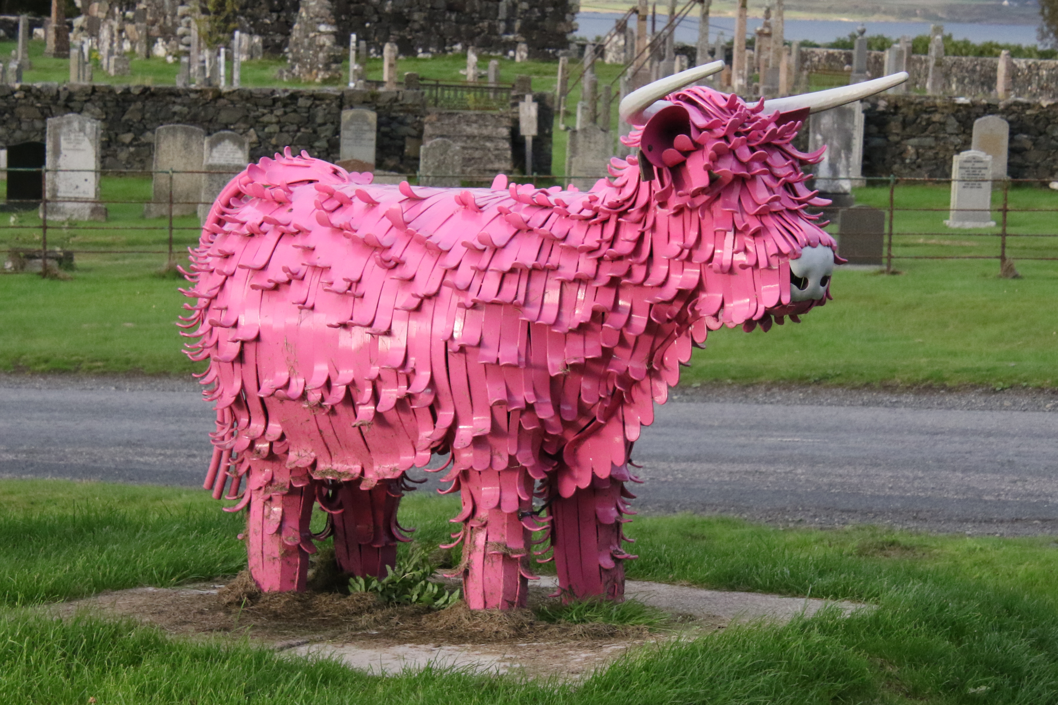 Pink cow at Pennygown Holiday Park